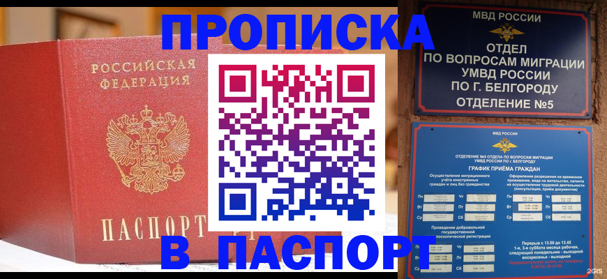 временная регистрация в квартире в Новокуйбышевске
